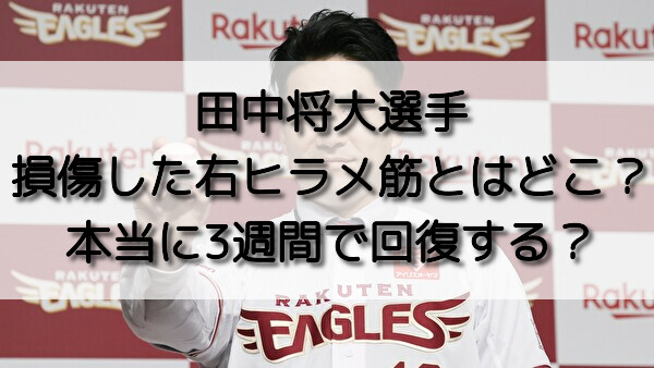 田中将大選手が損傷した右ヒラメ筋とはどこ 本当に3週間で回復する おいしい毎日ブログ